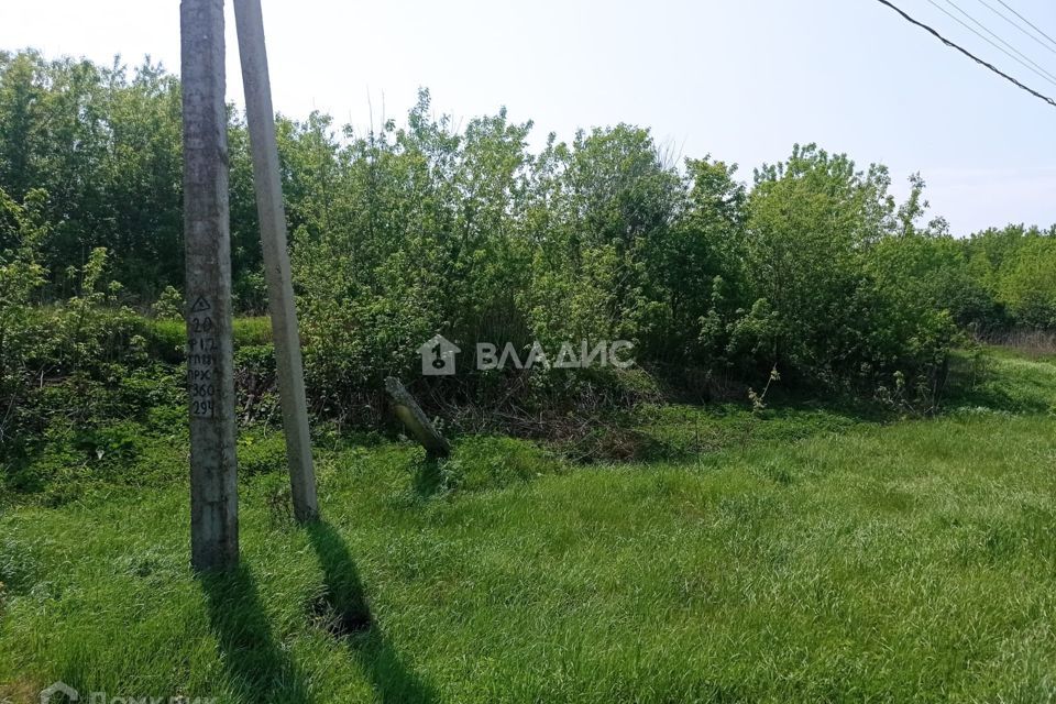 земля р-н Пензенский п Мичуринский ул Набережная 1 фото 1