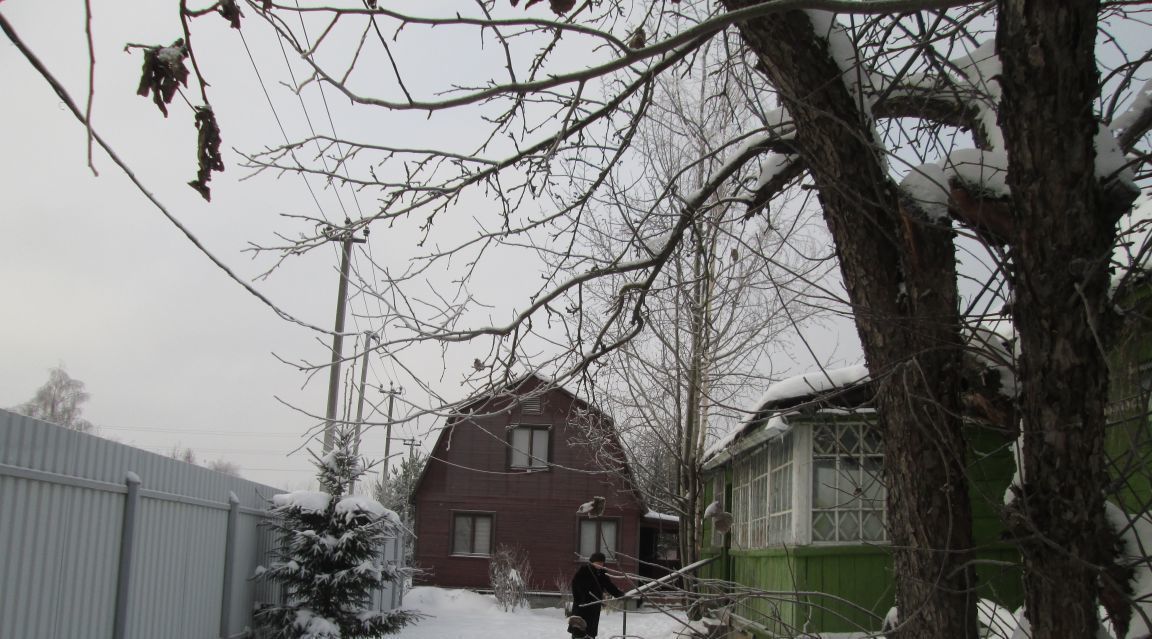 дом городской округ Дмитровский д Спас-Каменка фото 8