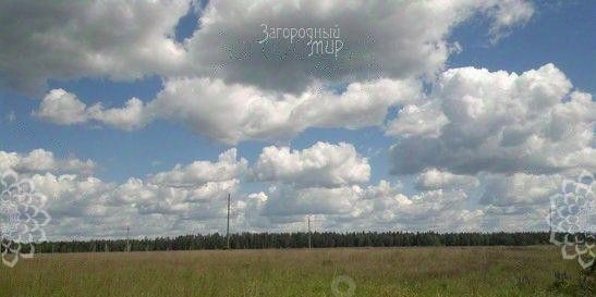 земля д Наумово Горкинское муниципальное образование фото