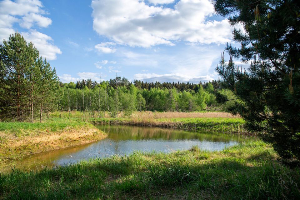 земля р-н Лужский фото 4