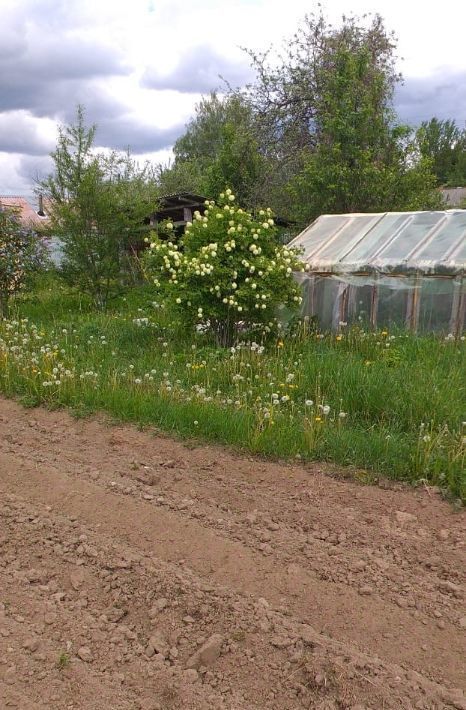 земля р-н Псковский д Гверздонь Середкинская волость фото 6