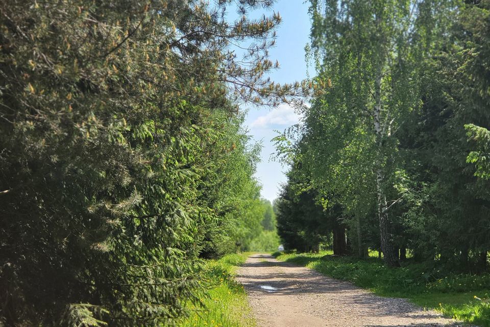 дом р-н Александровский фото 3