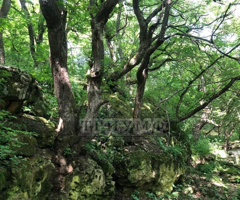 земля р-н Белогорский с Барабаново ул С.Сейтвелиева фото 7