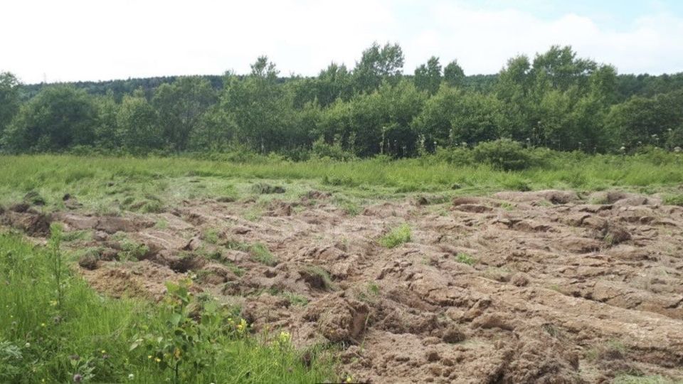 земля р-н Корсаковский фото 1