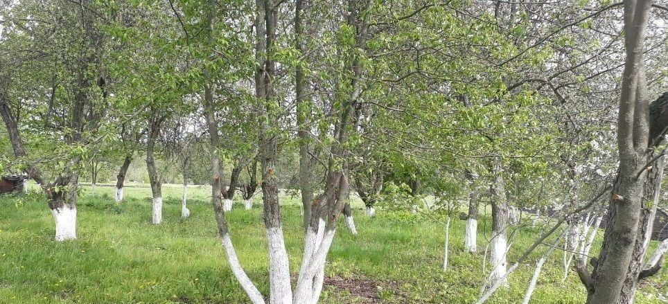 дом р-н Грязинский с Бутырки ул Ворошилова Бутырский сельсовет фото 2