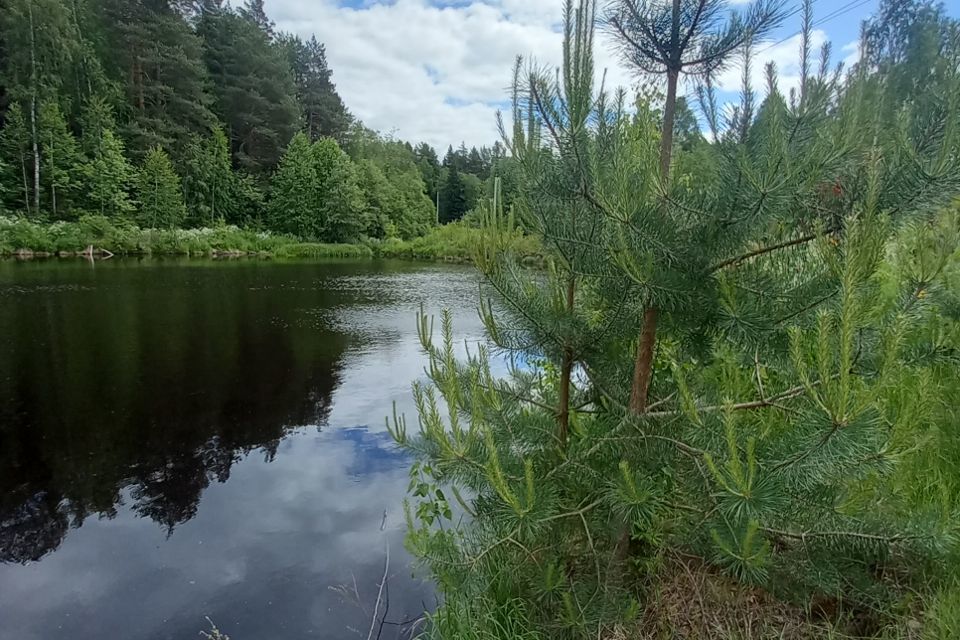 земля р-н Куменский фото 5