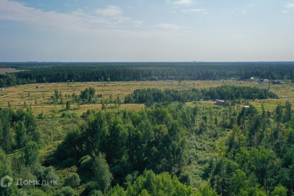 земля городской округ Богородский фото 6