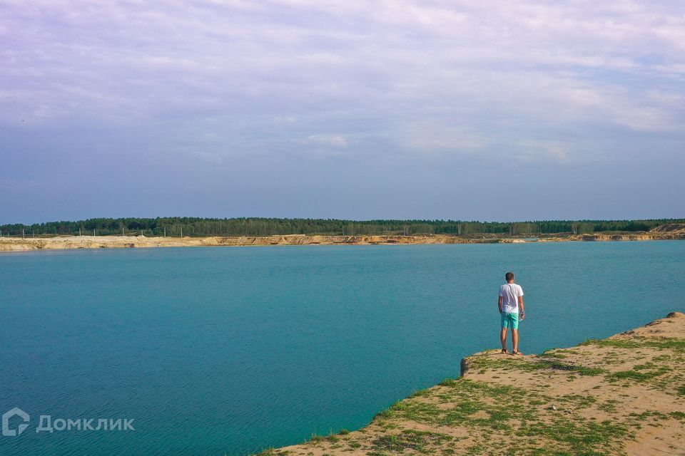 земля городской округ Богородский г Электроугли фото 8