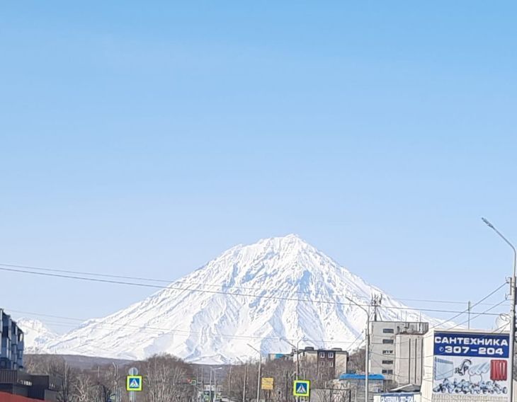 квартира г Петропавловск-Камчатский ул Абеля 17 фото 11