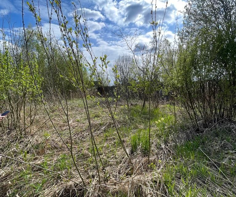 земля р-н Новгородский рп Пролетарий ул Ленинградская 85 фото 7