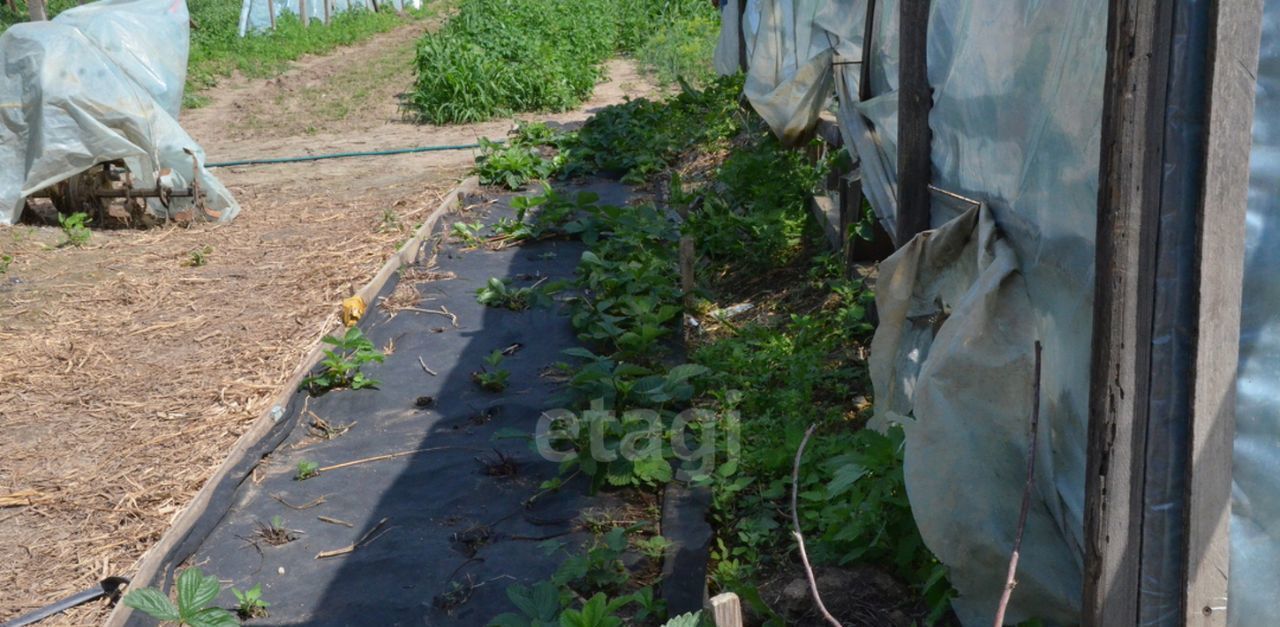 дом р-н Ивановский с Богородское ул Новая фото 17