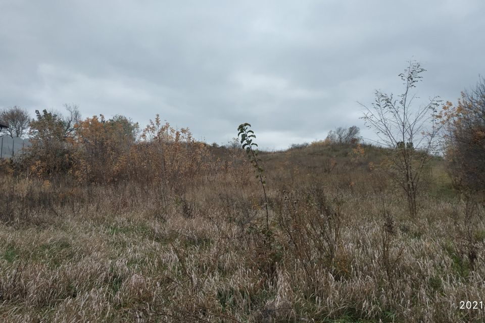 земля р-н Белгородский с Никольское ул Советская фото 4