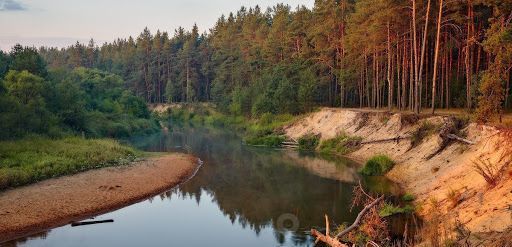 земля р-н Петушинский снт Усад муниципальное образование, Нагорное фото 8