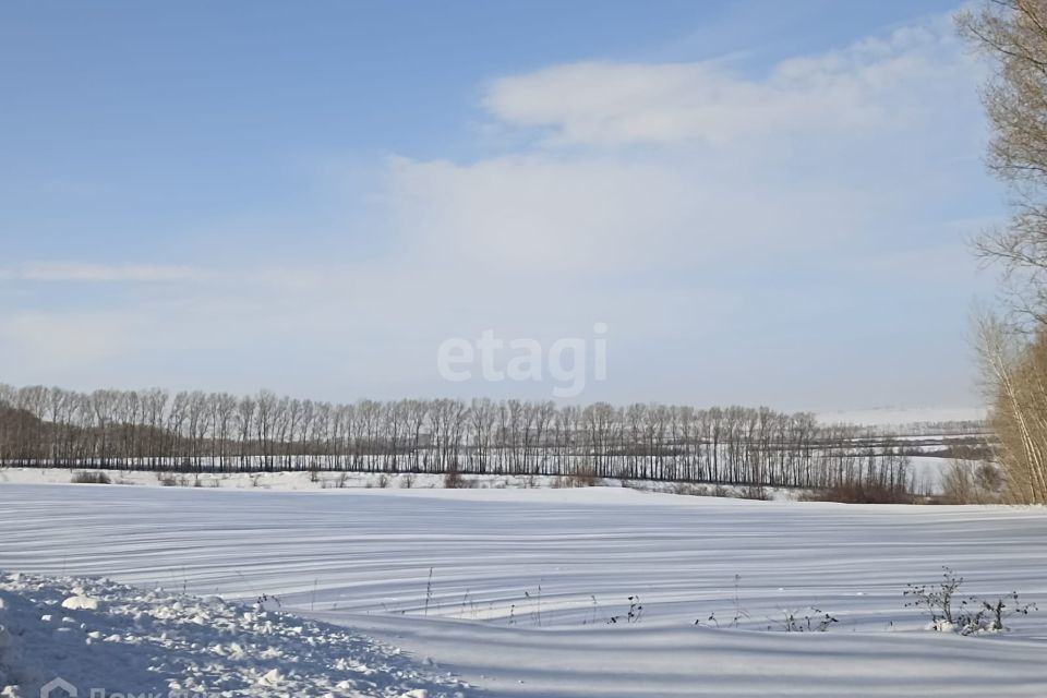 земля р-н Алтайский фото 6