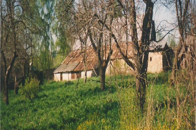 с Поветкино ул Центральная фото