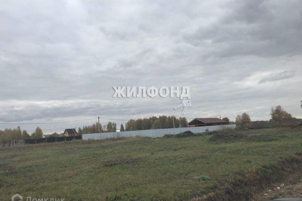 земля р-н Новосибирский фото 2