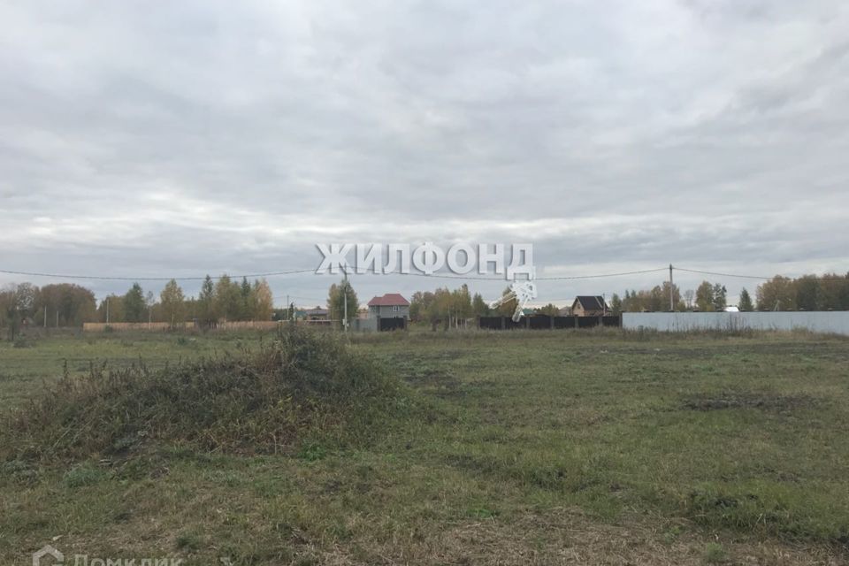 земля р-н Новосибирский фото 6