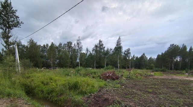 р-н Рыбинский г Рыбинск ул Новгородская фото