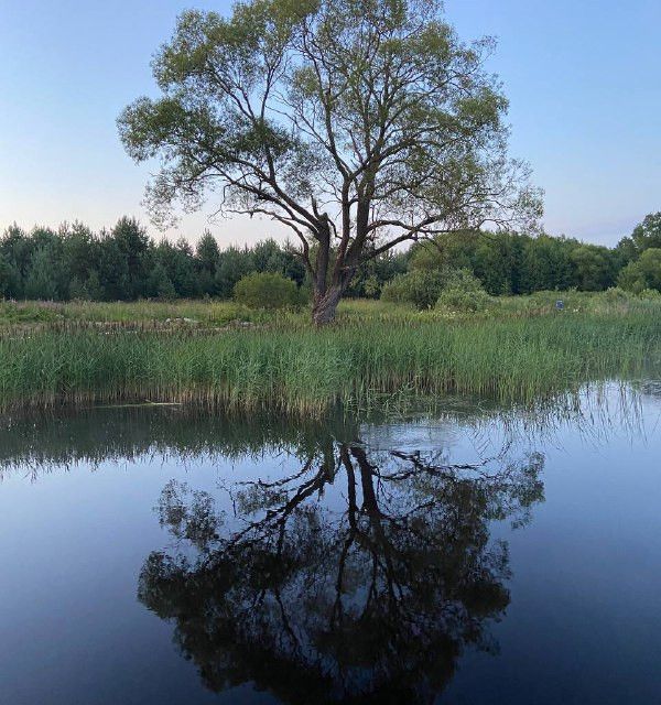 земля р-н Конаковский фото 4