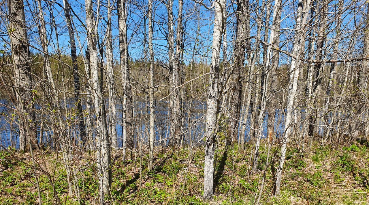 офис р-н Пряжинский д Киндасово Пряжинское городское поселение фото 4