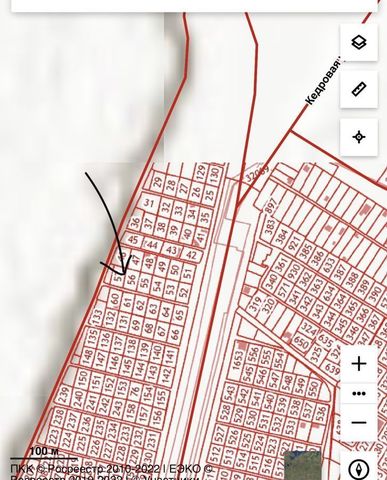 г Новосибирск р-н Заельцовский садоводческое товарищество Любитель, 170 фото