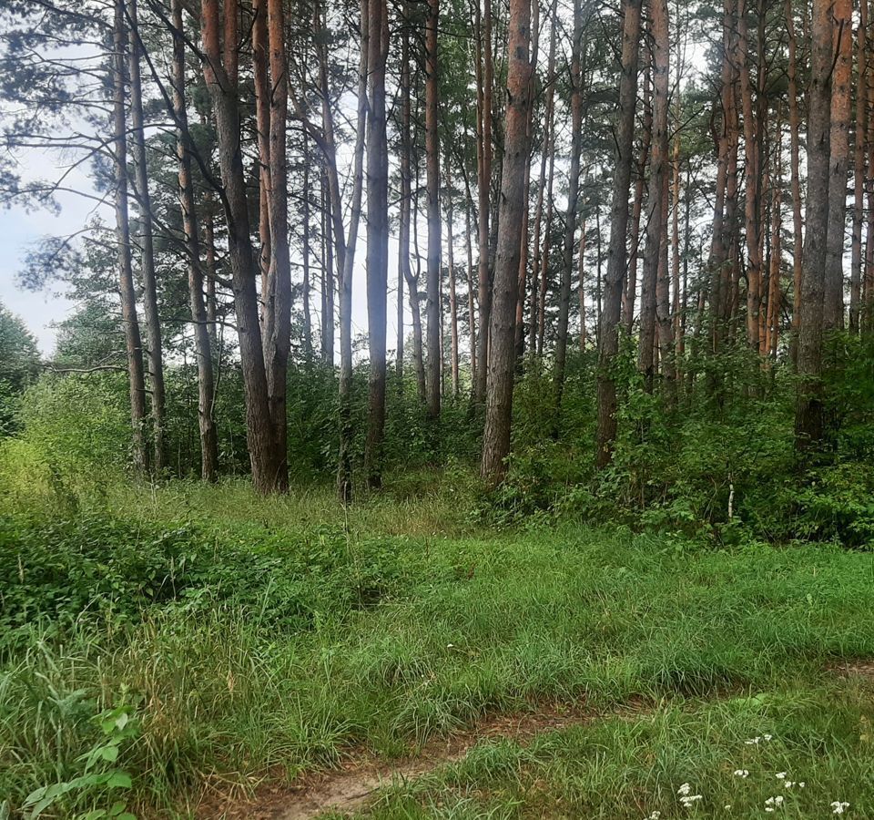 земля г Брянск р-н Фокинский ул Западная фото 4