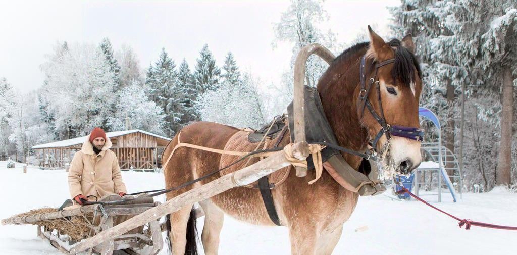 комната городской округ Можайский д Алексеевка 8 фото 23