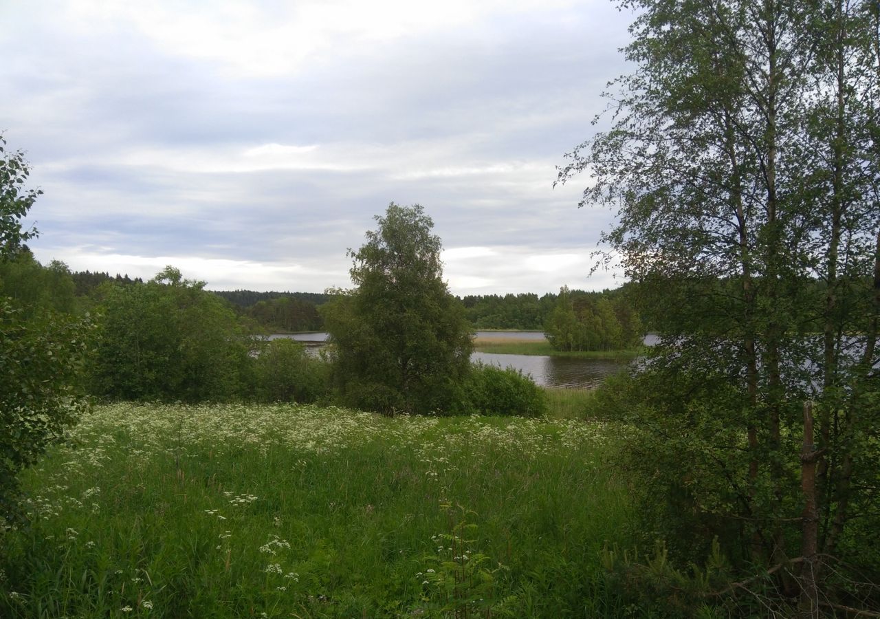 земля г Сортавала п Риеккалансари Сортавальский р-н, Сортавальское городское поселение, остров фото 9