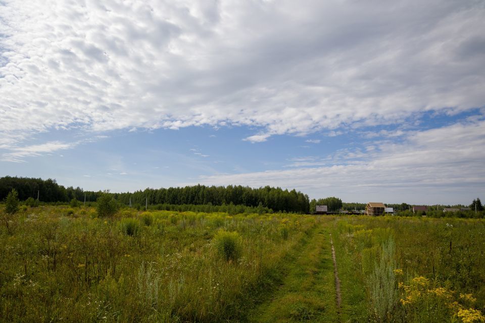 земля р-н Балахнинский деревня Гумнищи фото 1