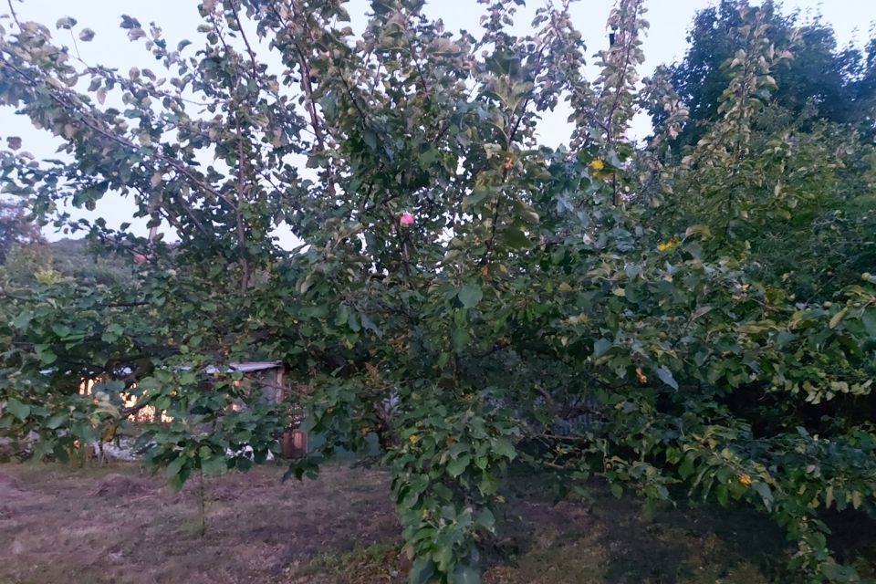 дом г Жигулевск с Солнечная Поляна городской округ Жигулёвск, СНТ Лесное-777 фото 7