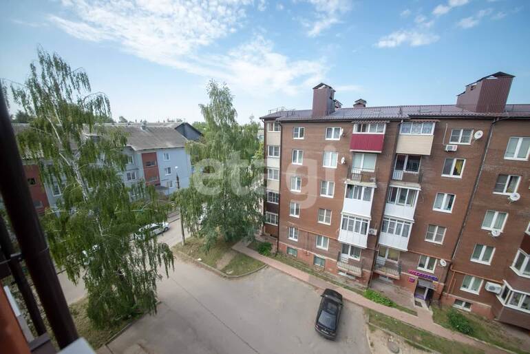 квартира г Тула р-н Привокзальный д. 189, пос. Рассвет фото 18