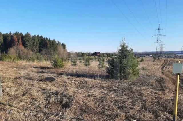 земля Добрянский городской округ, урочище Чамга, Вишнёвая улица фото 4