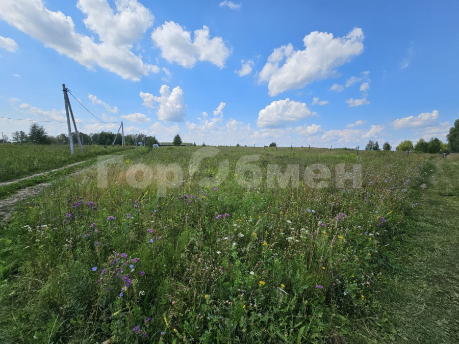 земля г Кашира д Романовское тер фото 23