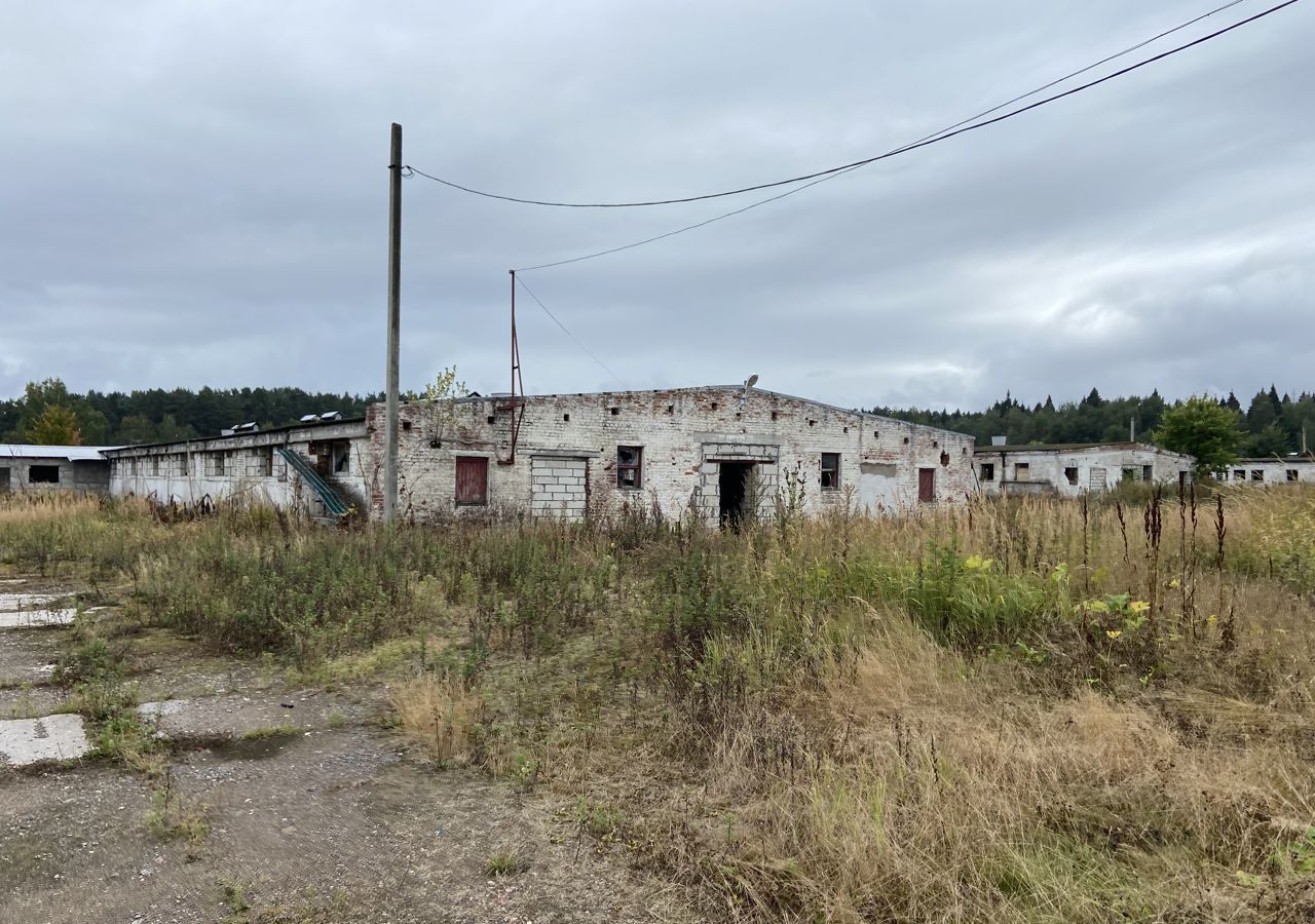 производственные, складские городской округ Дмитровский пос. совхоза Будённовец, ул. Галяткина, 9, Дмитров фото 2