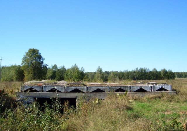 д Шарок Шимск фото