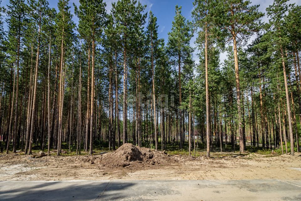 земля г Сургут городской округ Сургут, ДНТ Алтай фото 4