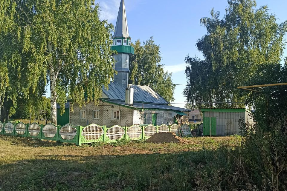 дом р-н Тетюшский село Малое Шемякино фото 10