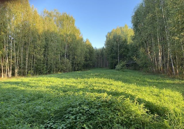 д Гарь Большая Михайловское сельское поселение, Юрьевец фото