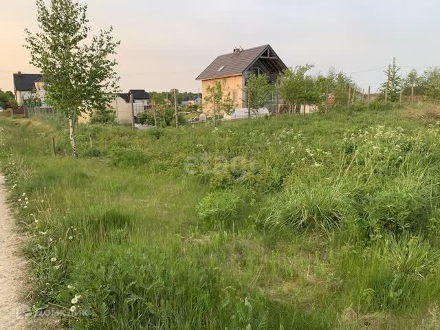посёлок Приморье фото