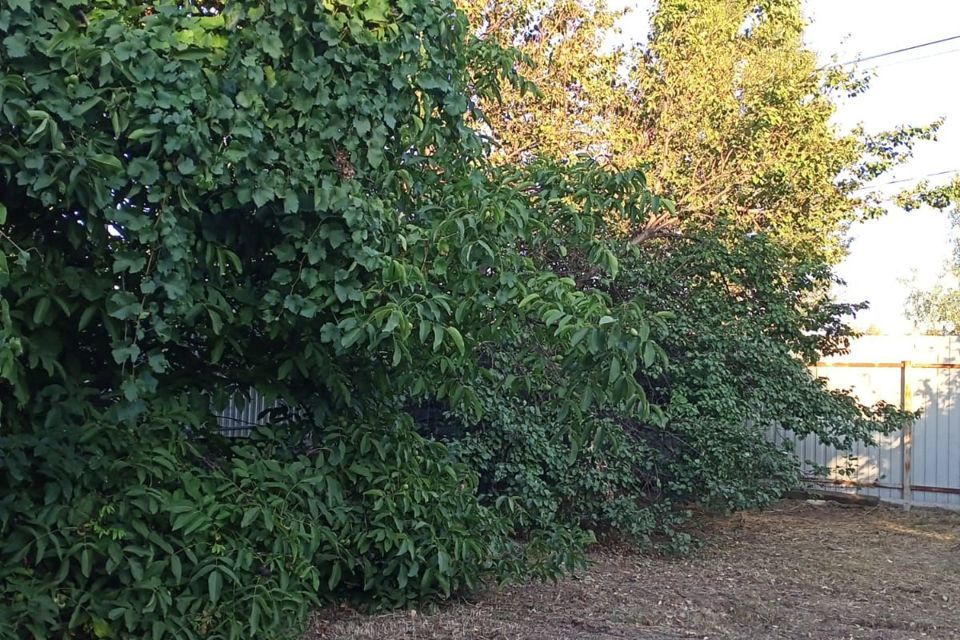 земля г Волжский снт Химик ул 14-я Линия городской округ Волжский фото 3