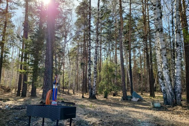 Екатеринбург, садоводческое товарищество Поиск, муниципальное образование фото