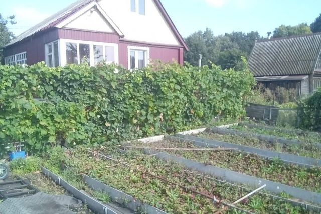 городской округ Пенза, садовое дачное товарищество Зелёная Роща фото