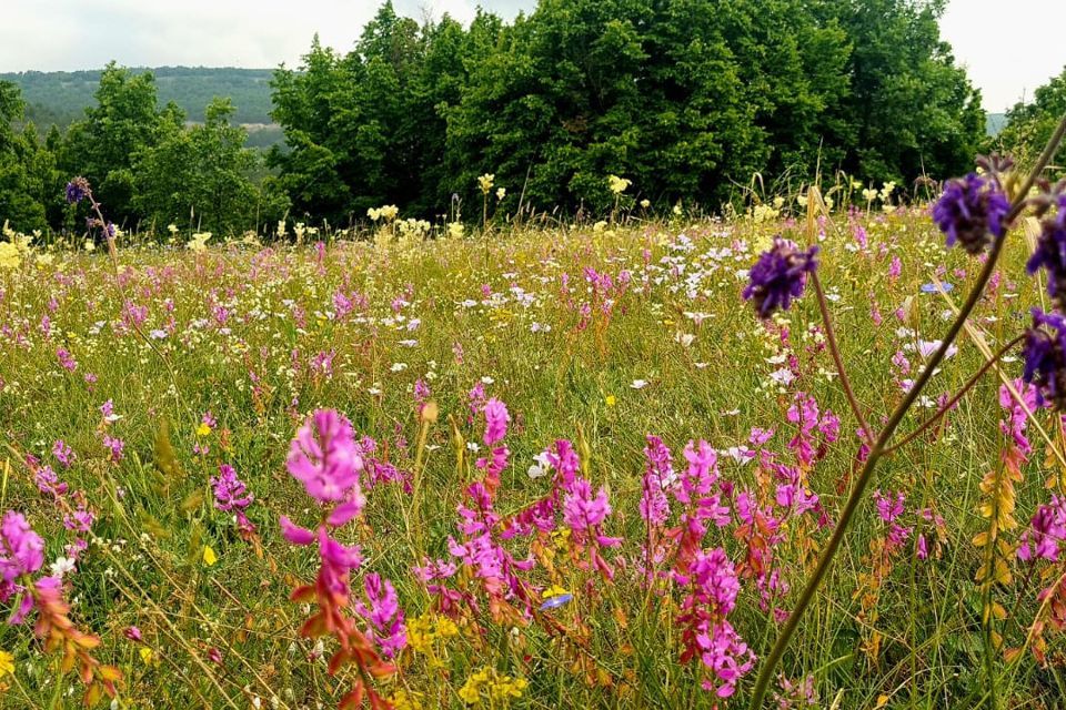 земля г Севастополь Нахимовский район, село Верхнесадовое фото 1