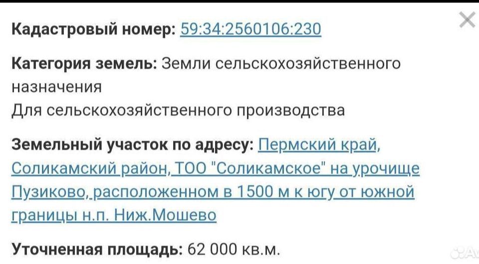 земля г Соликамск фото 4