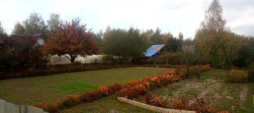 земля г Кострома р-н Фабричный некоммерческое садоводческое товарищество Берёзка-3, 34 фото 2
