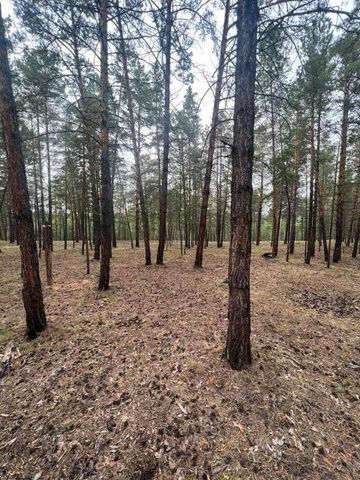 городской округ Якутск, Покровский тракт, 13 километр фото