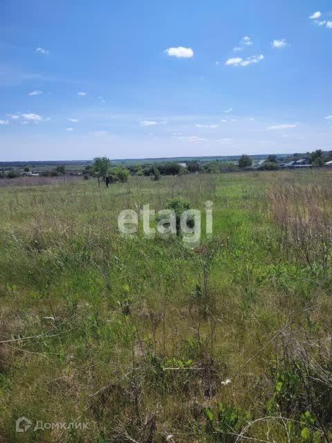 земля г Ульяновск с Луговое ул Молодежная 1 городской округ Ульяновск фото 4