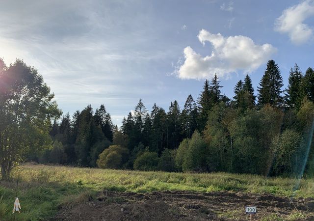Лесколовское сельское поселение, садовые участки, Лесколово фото