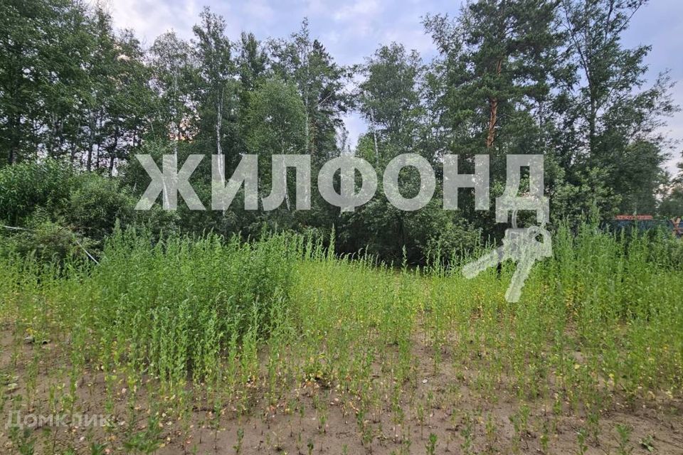 земля г Новосибирск СНТ Сибиряк, городской округ Новосибирск фото 1