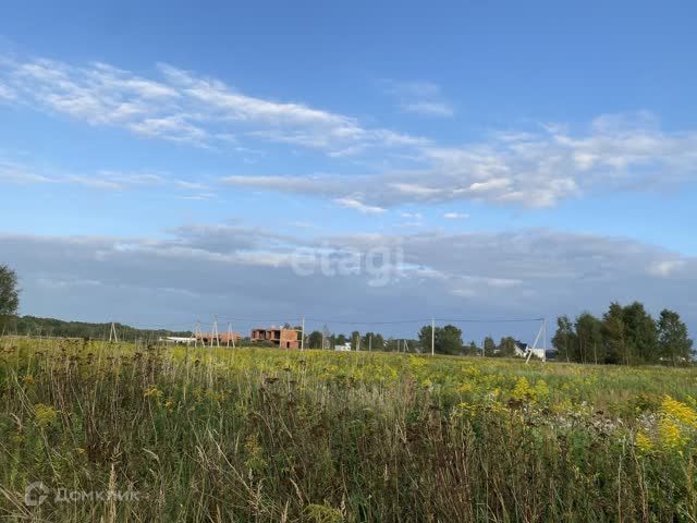 Новомосковское сельское поселение, Калужская улица фото
